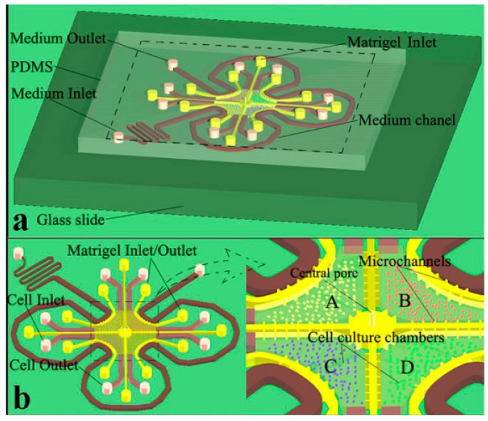 Figure 11