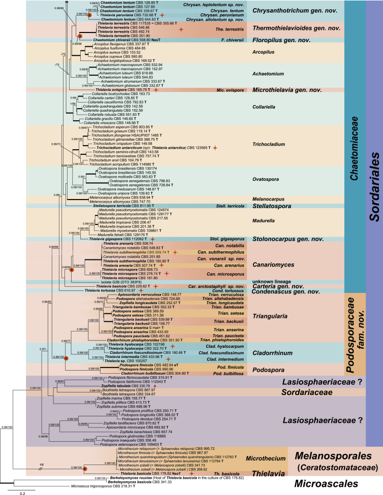 Fig. 3