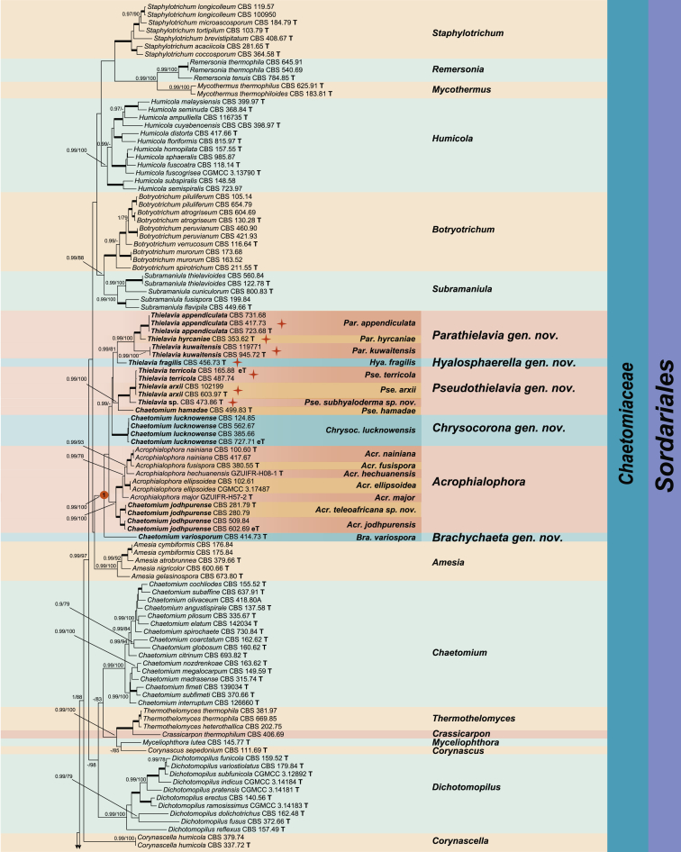 Fig. 3