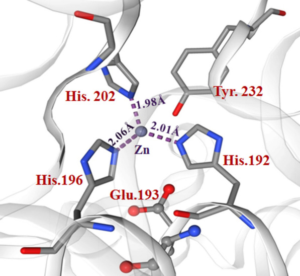 Fig. 9