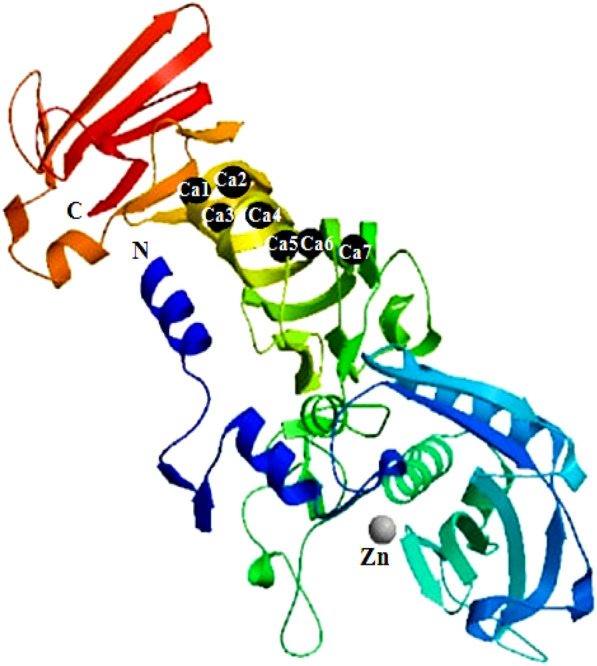 Fig. 7