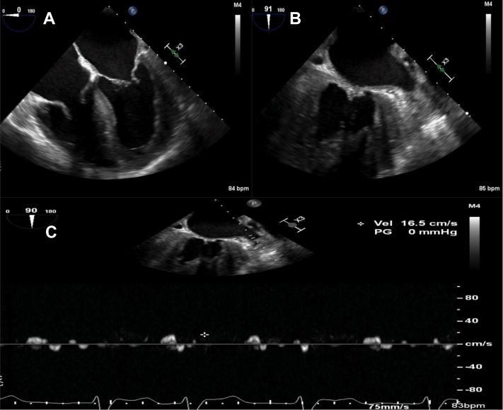 Figure 1