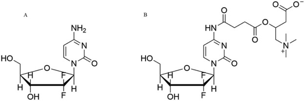 Fig. 1