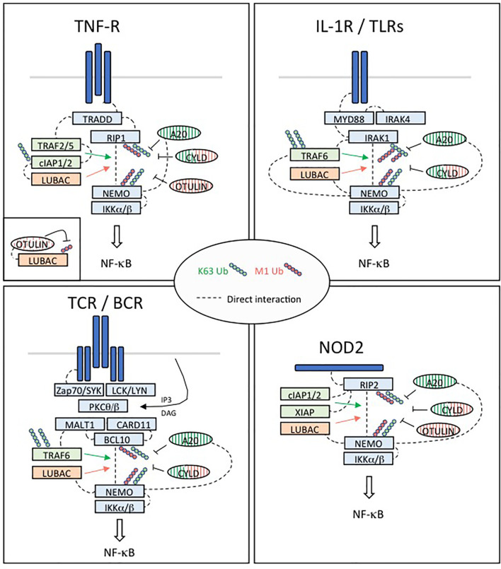 Figure 4