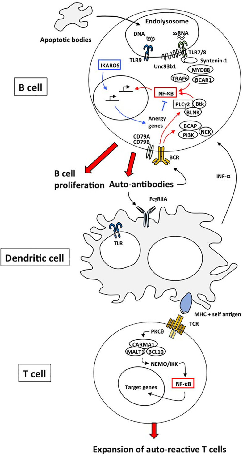 Figure 1