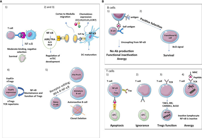 Figure 5