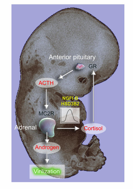 Figure 9