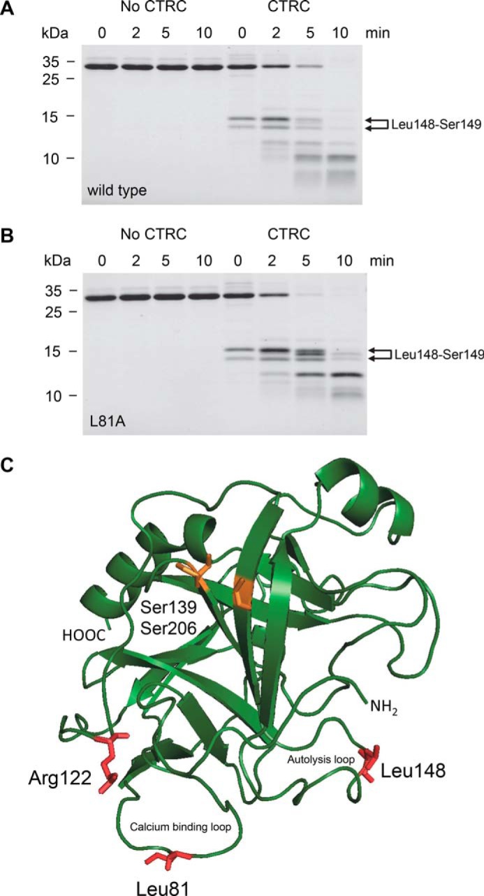 FIGURE 5.