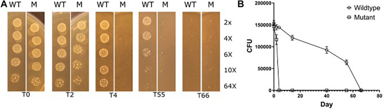 FIGURE 6