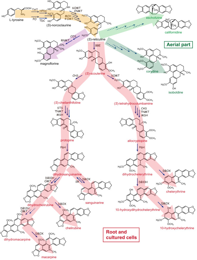 Figure 2