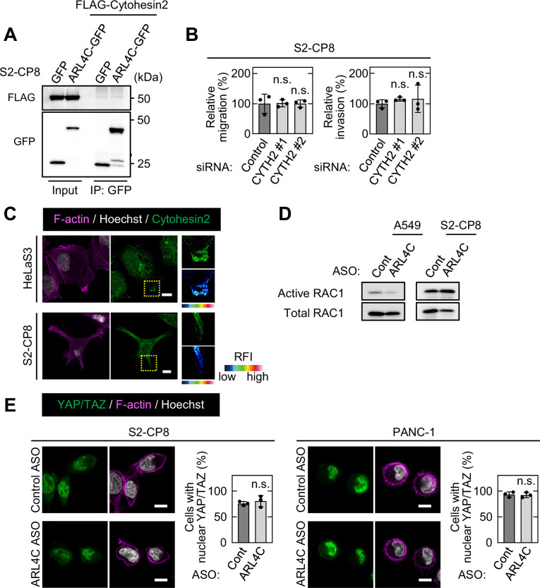 Figure 3—figure supplement 1.