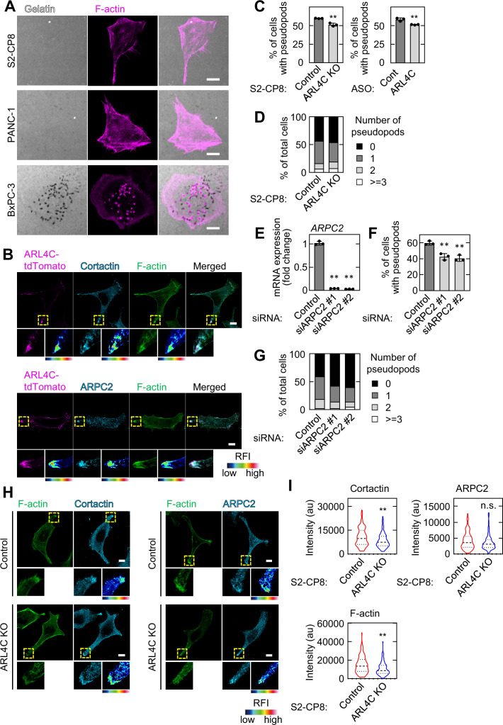 Figure 2—figure supplement 2.