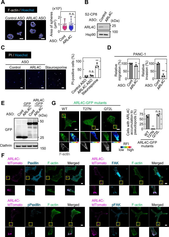 Figure 2—figure supplement 1.