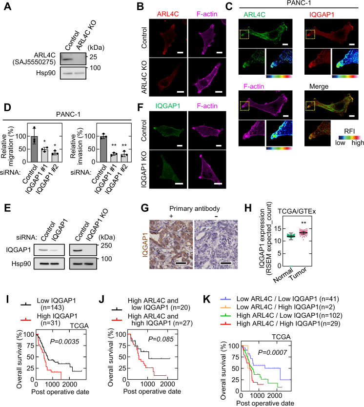 Figure 3—figure supplement 2.