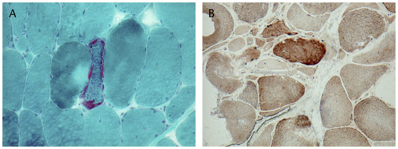 Figure 3-6.