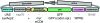 F<sc>igure</sc> 4.—