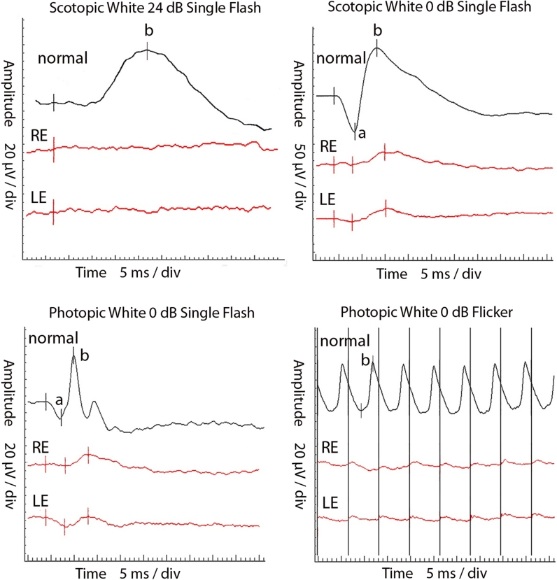 Fig. 3