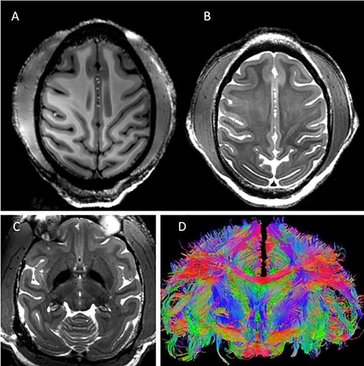 Figure 9: