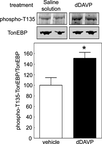 FIGURE 7: