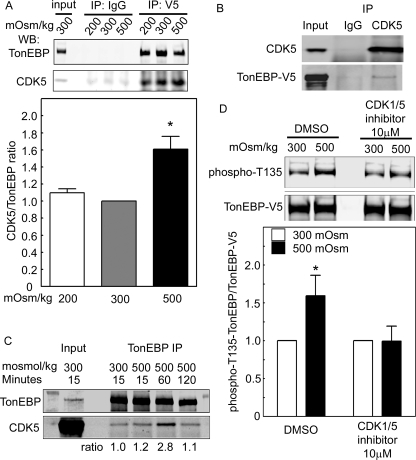 FIGURE 4: