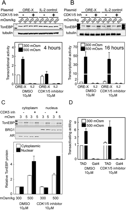 FIGURE 6: