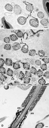 FIG. 6