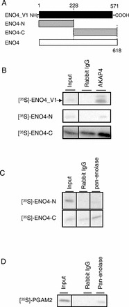 FIG. 9