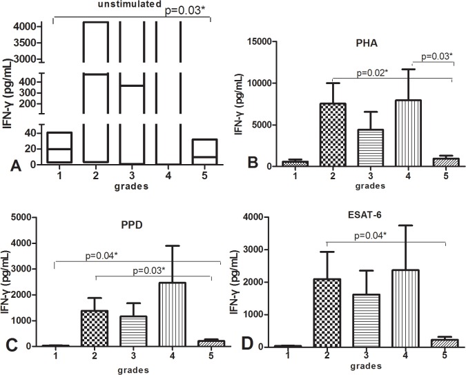 Fig 12