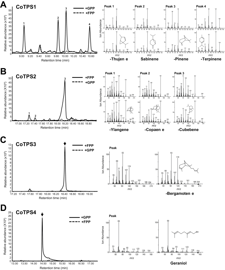 Fig. 7.