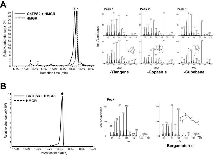 Fig. 8.