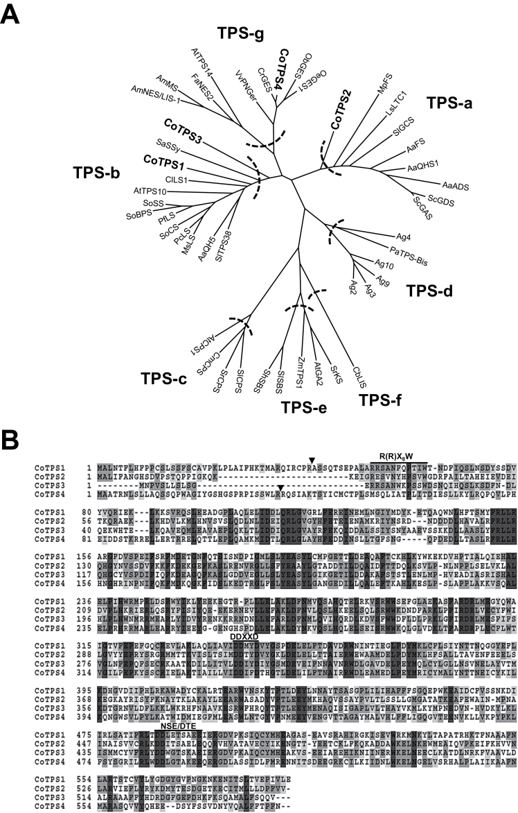 Fig. 4.