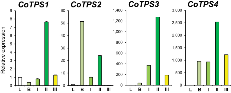 Fig. 6.