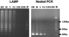 FIG. 2.