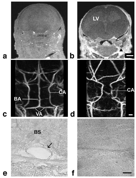 FIG. 8