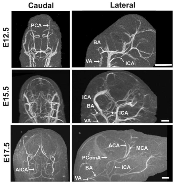 FIG. 5