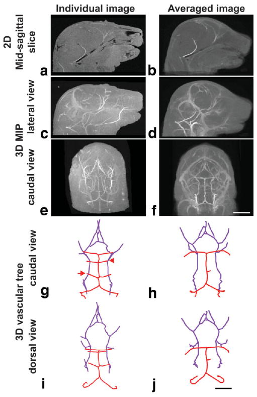 FIG. 6