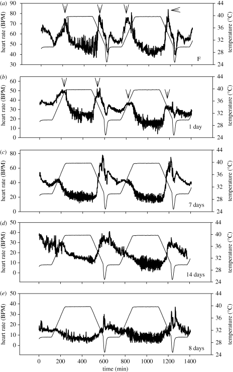 Figure 4.