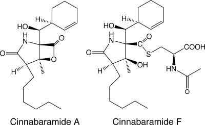 FIG. 13.