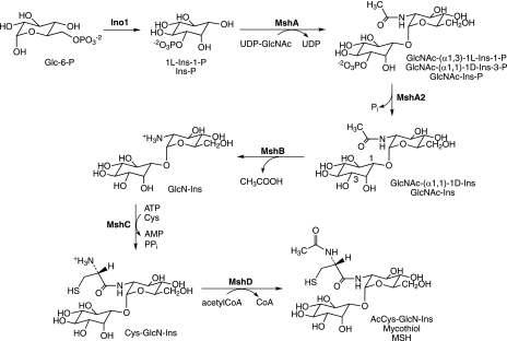 FIG. 2.