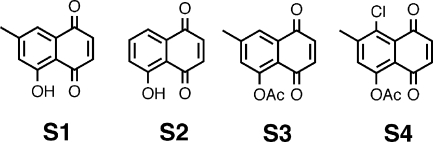 FIG. 20.