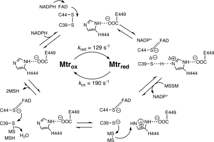 FIG. 9.