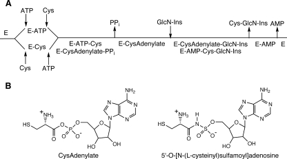 FIG. 6.