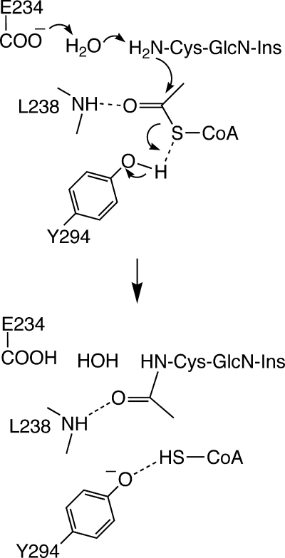 FIG. 7.