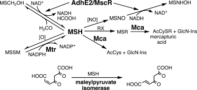 FIG. 8.