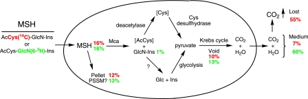 FIG. 17.