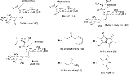 FIG. 5.