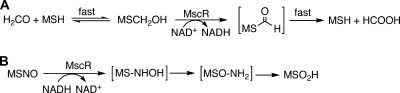 FIG. 15.