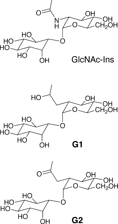 FIG. 21.