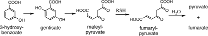 FIG. 16.