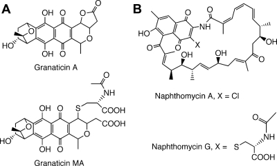 FIG. 12.